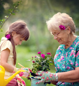Home care Denver, Senior care Denver,  In home care Denver, Home health care Denver 